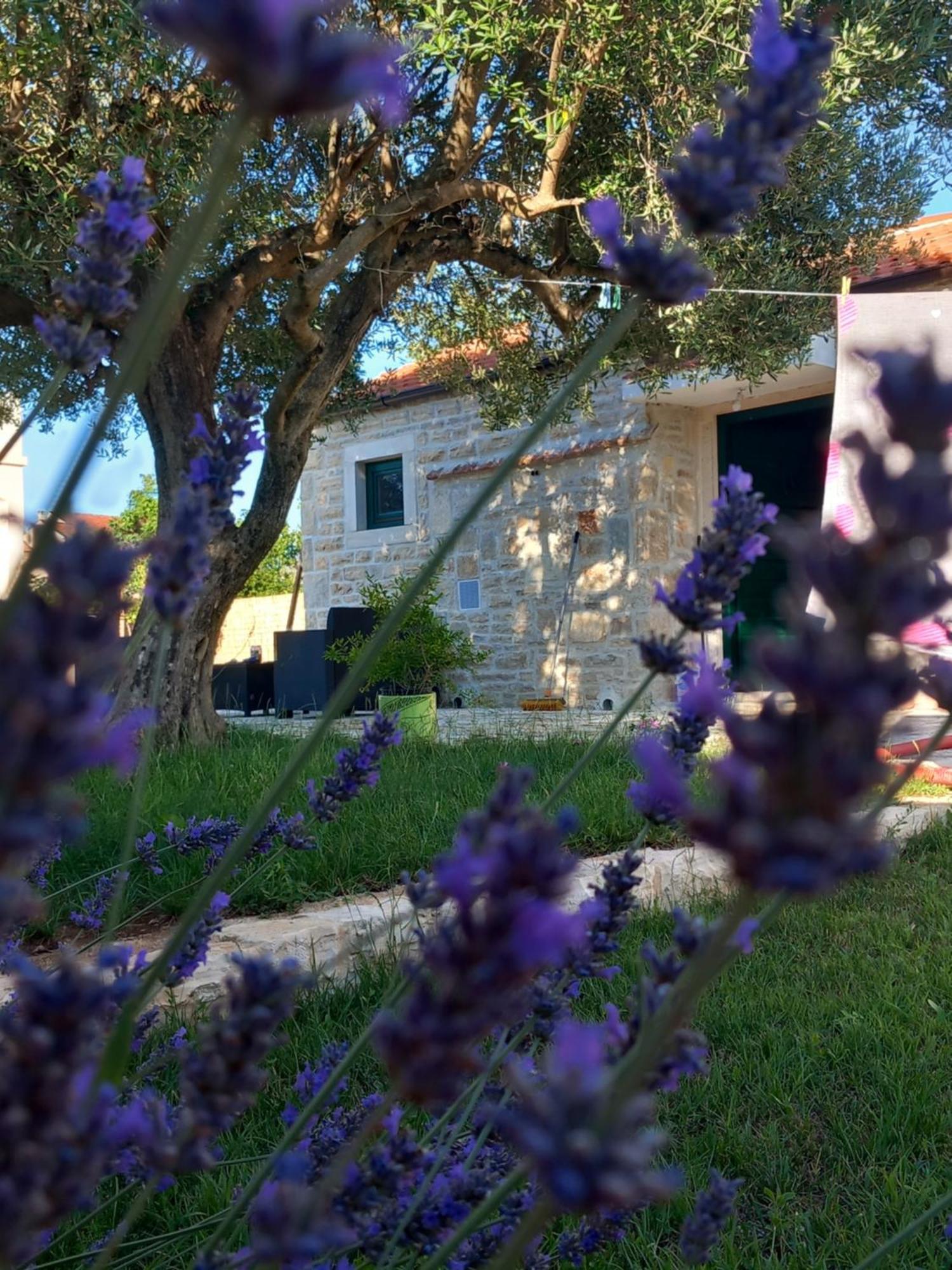 Leggiero Villa Benkovac Buitenkant foto